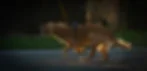 Golden retriever in a harness runs with a ball in its mouth on a sunlit gravel path, backlit by warm evening light.