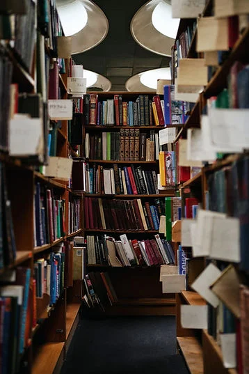 Bookshelves filled with colorful books line a narrow library aisle. Overhead lights illuminate the cozy, quiet setting.