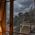 Finding Beauty in Rainy Days: A Photo Experiment