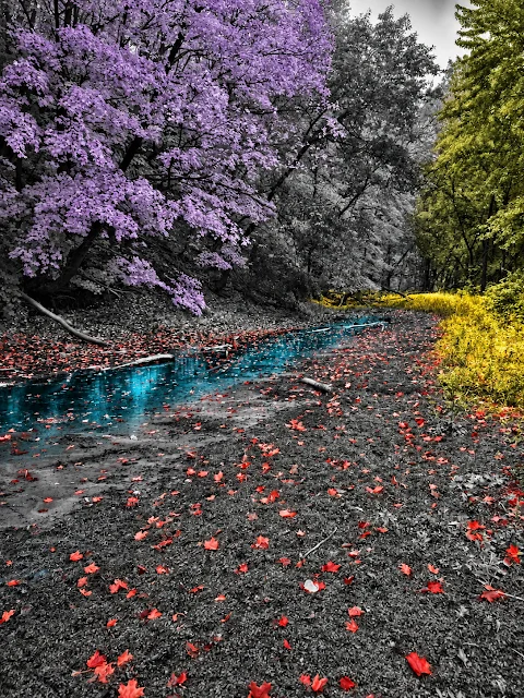 Artistic interpretation of a Minnesota landscape