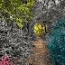 Reflections on Minnesota: Nostalgia Through Color and Memory