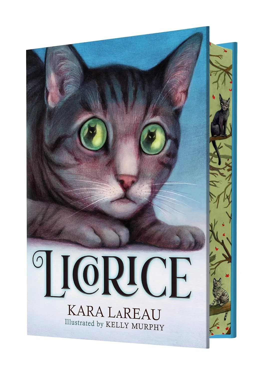 Review: Licorice by Kara LaReau (Illustrated by Kelly Murphy)