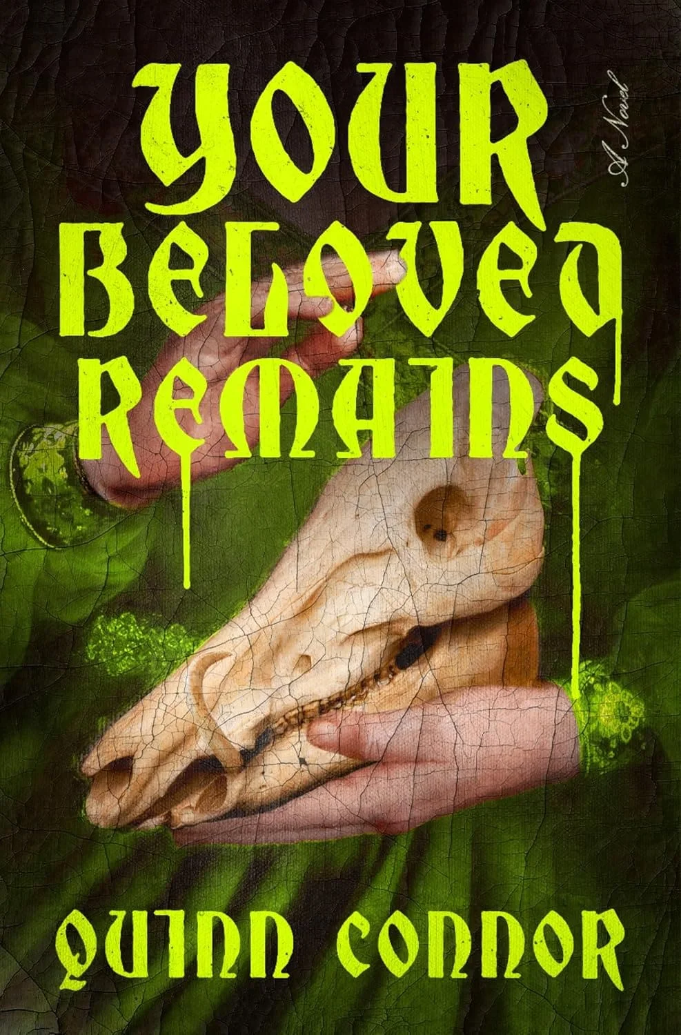 Your Beloved Remains Review: Gothic Academia, Forgery and Obsession
