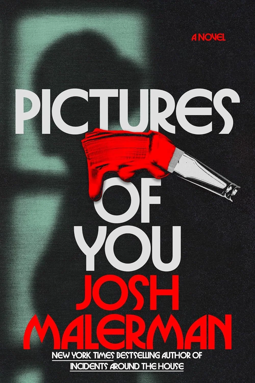 Josh Malerman’s *Pictures of You* Turns Art into a Hitchcockian Horror Trap